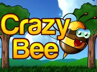 Crazy Bee icon