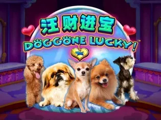 Doggone Lucky icon